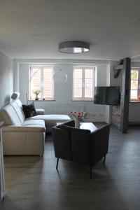 TV a/nebo společenská místnost v ubytování Apartments Ackerbürgerhof No. 9