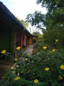 Jardí fora de The Nest