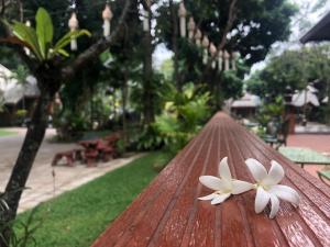 two white flowers sitting on top of a wooden table at Romsak Lanna Resort Chiang Mai in Chiang Mai