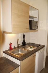 cocina con fregadero y microondas en Grenoble hyper-centre + WiFi + Netflix en Grenoble