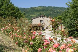 Imagen de la galería de Agriturismo Corte Dei Mori, en Brisighella