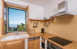 Kuchyň nebo kuchyňský kout v ubytování Holiday Home Podobuce Bb Iii