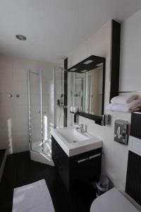 a bathroom with a sink and a shower and a mirror at Pension Seiboldsmühle in Heideck