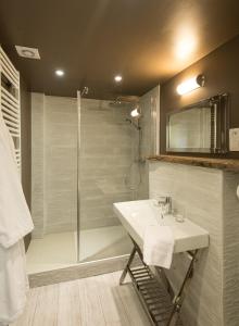 a bathroom with a shower and a white sink at La Goélette, Chambres d'Hôtes in Wimereux