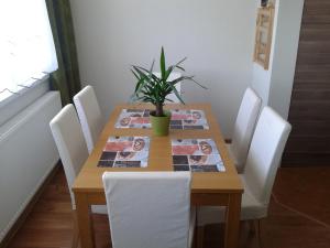 Fotografia z galérie ubytovania Apartmán Liptov v Lúčkach
