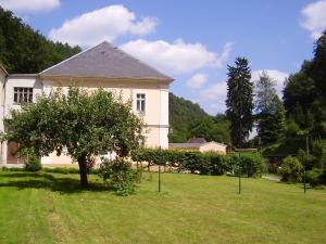 ein weißes Haus mit einem Baum im Hof in der Unterkunft Hotel Garni Dekorahaus in Bad Schandau