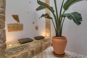 Fotografie z fotogalerie ubytování Casa En Grenyo, Javea v destinaci Jávea