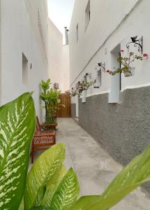 a hallway with benches and plants in a building at Arguineguin Beach Lux Solarium Petite in Arguineguín