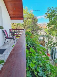 Φωτογραφία από το άλμπουμ του Forest Apartment σε Νίκσιτς