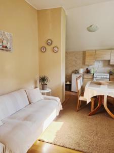 a bedroom with a bed and a table and a kitchen at Forest Apartment in Nikšić