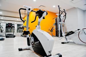 Fitness centrum a/nebo fitness zařízení v ubytování Ambasador Premium