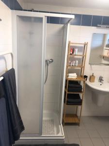 W łazience znajduje się prysznic i umywalka. w obiekcie Seevilla Matilda direkt am Ufer w mieście Jois