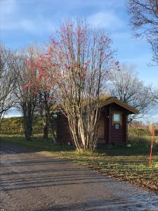 Fotografie z fotogalerie ubytování Gårdshytten, Dverbergveien 143 v destinaci Dverberg
