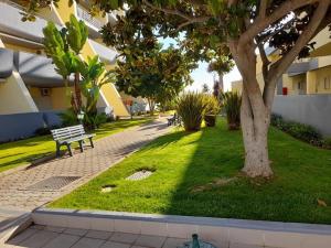 a park with a bench and a tree in the grass at Condominio do Mar in Lagos