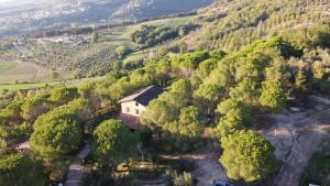 an aerial view of a house in the middle of a forest at Il Cantico delle Cicale in Piccione