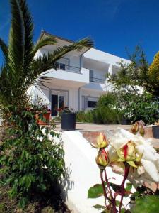 Biały dom z palmą przed nim w obiekcie Thasos Seaside Serenity - Seaview & Garden Nests w mieście Astris