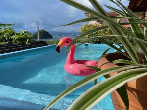 un pato de goma rosa en una piscina al lado de una planta en Cerrito Tropical Eco Lodge, en Taboga