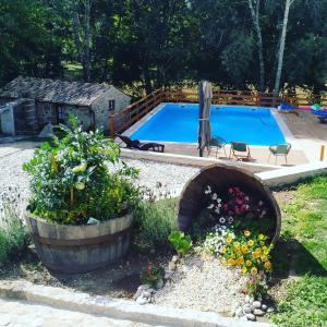 a swimming pool in a yard with flowers and a garden sidx sidx sidx at QUINTA DO VALE in Valença