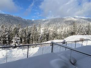 a balcony with snow covered trees on a mountain at Vila Pohoda in Donovaly