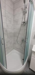 a shower with a glass door in a bathroom at AVA Apartment Istočno Sarajevo in Lukavica +18 photos