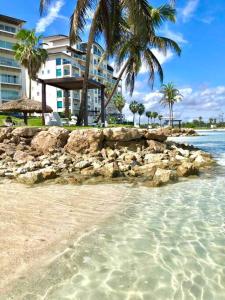 María Chiquita的住宿－Apartamento en el mar Caribe, Playa Escondida Resort & Marina，一片拥有岩石和棕榈树的海滩和一座建筑
