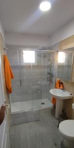 a bathroom with a shower and a toilet and a sink at CASA ROBERTO CANDELARIA,PARKING,AIR,WIFi in Candelaria +14 photos