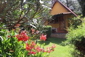 una pequeña casa con flores rojas delante en Cabañas Lupita 22 en Mazamitla