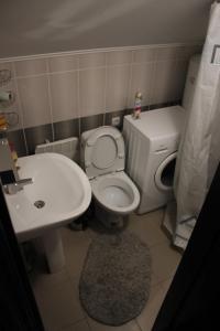 a small bathroom with a toilet and a sink at Чорногірський Вітер in Verkhovyna +57 photos