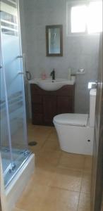 a bathroom with a toilet and a sink and a shower at Cottage near the mountains away from crowd in Las Palmas de Gran Canaria