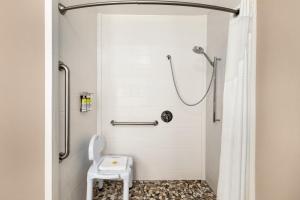 a bathroom with a shower and a toilet at Holiday Inn Express Hotel & Suites Auburn - University Area, an IHG Hotel in Auburn