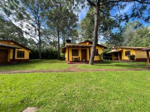 une maison jaune avec un arbre dans la cour dans l'établissement Cabañas Rosy, à Mazamitla