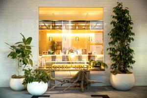 a room with two potted plants in front of a window at Hotel Edit Yokohama in Yokohama