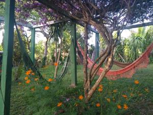 uma rede num jardim com flores em Recanto Solar da Paz na Ilha de Boipeba