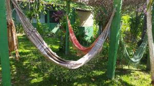 una hamaca en un jardín con una casa en Recanto Solar da Paz en Ilha de Boipeba
