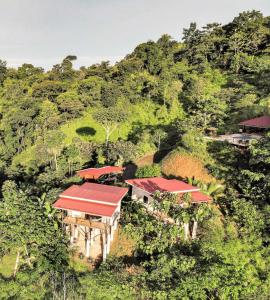 an aerial view of a resort in the jungle at Nature's Edge Boutique Hotel in Uvita