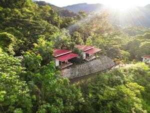 an aerial view of a house in the middle of a forest at Nature's Edge Boutique Hotel in Uvita