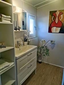 a bathroom with a sink and a painting on the wall at Tiny House Mehring in Mehring