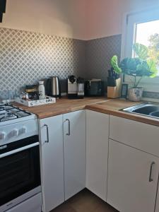 Kuchyň nebo kuchyňský kout v ubytování Tiny House Mehring