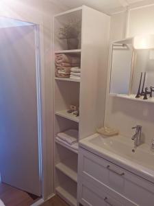 a bathroom with a shower and a sink and a mirror at Tiny House Mehring in Mehring