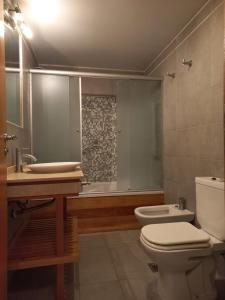 a bathroom with a toilet and a sink and a shower at Departamento Centro San Martin de los Andes in San Martín de los Andes