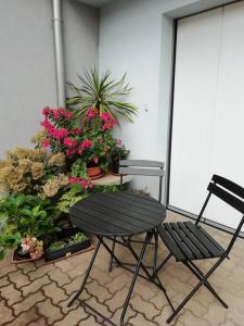 uma cadeira preta sentada ao lado de um monte de plantas em Gîte HAURY em Cleebourg