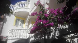 un edificio blanco con ventana y flores púrpuras en Apartments Vodice Marica, en Vodice