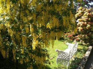 a white bench sitting under a tree with flowers at Charlemont House Exclusive Hire Perfect for Groups of 8 to 23 persons in Moy