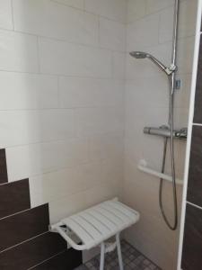 a shower with a bench in a bathroom at Gîte HAURY in Cleebourg +11 photos