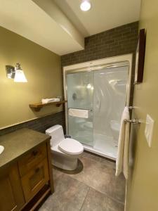 a bathroom with a toilet and a glass shower at Fitzhugh House Guest Accomodation in Jasper