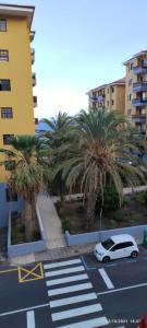 a white car parked in a parking lot with palm trees at CASA ROBERTO CANDELARIA,PARKING,AIR,WIFi in Candelaria