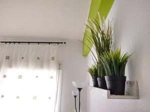 Fotografia z galérie ubytovania Coqueto miniapartamento junto centro Torremolinos v destinácii Torremolinos