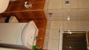 a bathroom with a sink and a shower at Hotelik Parkowy in Legnica