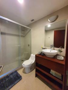 y baño con aseo, lavabo y ducha. en Argento Apartment in New Polanco, en Ciudad de México
