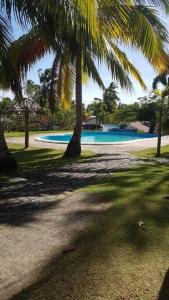 a view of a swimming pool with palm trees at Pelicano Tropical Paraiso Samana in Santa Bárbara de Samaná